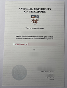 National University of Singapore diploma， 新加坡国立大学文凭 (