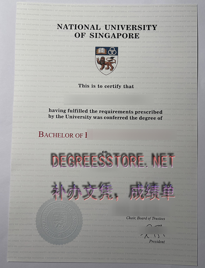 National University of Singapore diploma， 新加坡国立大学文凭