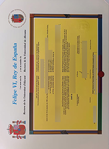 Universidad de Alicante diploma