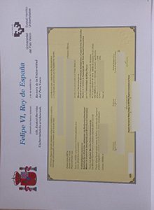 Universidad del País Vasco diploma