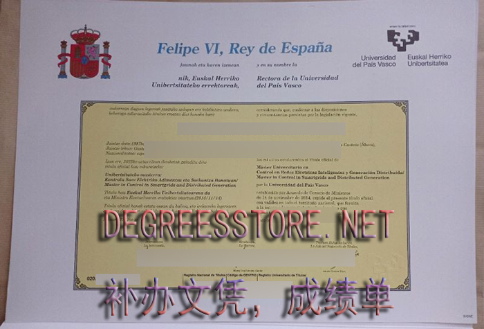 巴斯克大学文凭, Universidad del País Vasco diploma