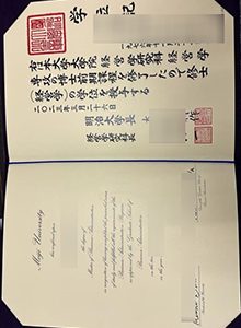 明治大学文凭, Meiji University degree