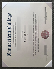 Connecticut College degree