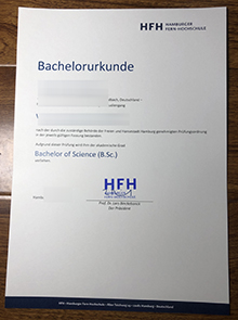 Hamburger Fern-Hochschule Urkunde, 汉堡远程教育大学文凭